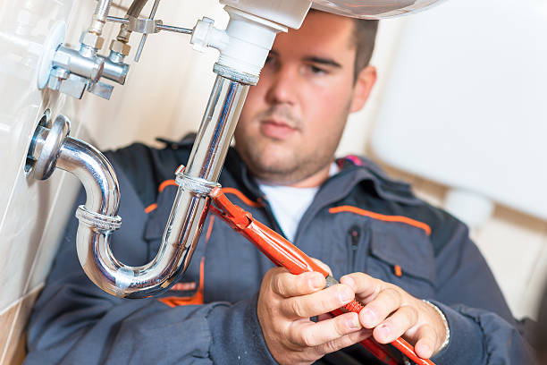 Best Garbage Disposal Repair and Installation  in Corydon, IA